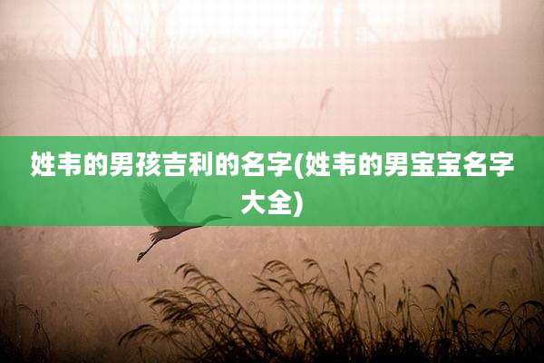 姓韦的男孩吉利的名字(姓韦的男宝宝名字大全)