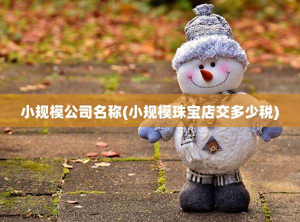 小规模公司名称(小规模珠宝店交多少税)