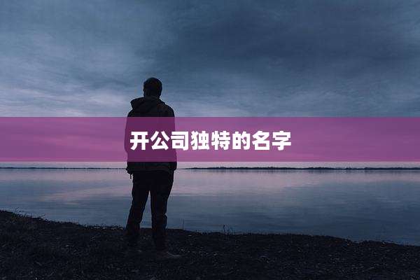 开公司独特的名字