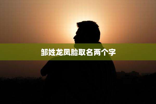 邹姓龙凤胎取名两个字