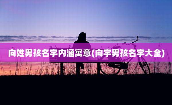 向姓男孩名字内涵寓意(向字男孩名字大全)