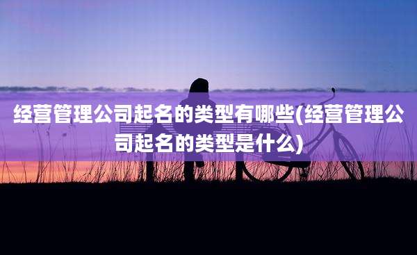 经营管理公司起名的类型有哪些(经营管理公司起名的类型是什么)