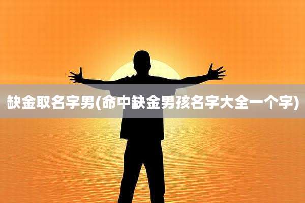 缺金取名字男(命中缺金男孩名字大全一个字)