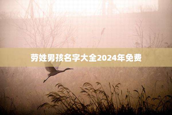 劳姓男孩名字大全2024年免费