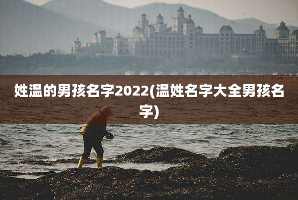 姓温的男孩名字2022(温姓名字大全男孩名字)