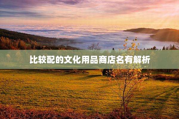 比较配的文化用品商店名有解析
