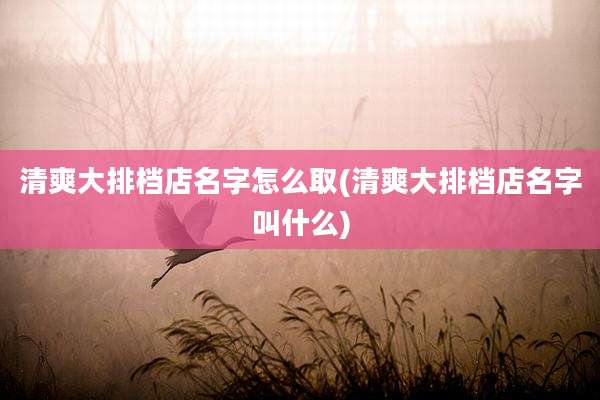 清爽大排档店名字怎么取(清爽大排档店名字叫什么)