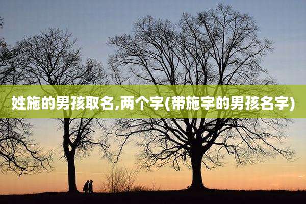 姓施的男孩取名,两个字(带施字的男孩名字)