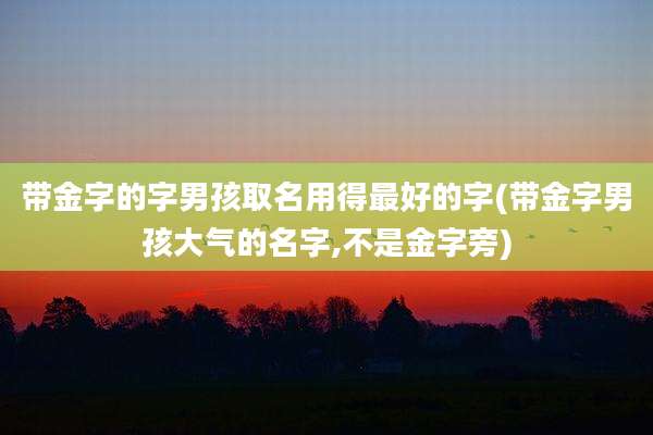 带金字的字男孩取名用得最好的字(带金字男孩大气的名字,不是金字旁)