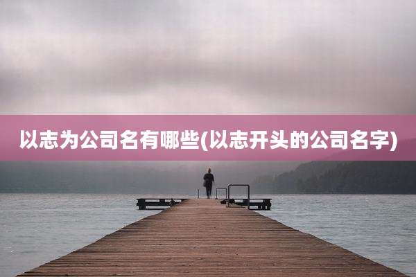 以志为公司名有哪些(以志开头的公司名字)