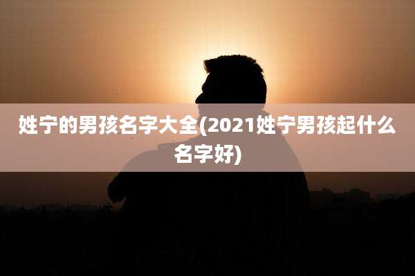 姓宁的男孩名字大全(2021姓宁男孩起什么名字好)