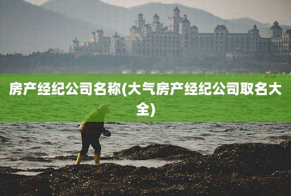 房产经纪公司名称(大气房产经纪公司取名大全)