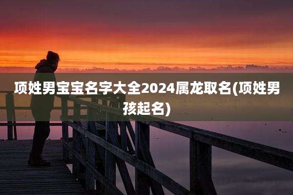 项姓男宝宝名字大全2024属龙取名(项姓男孩起名)