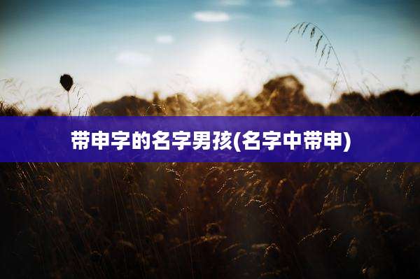 带申字的名字男孩(名字中带申)