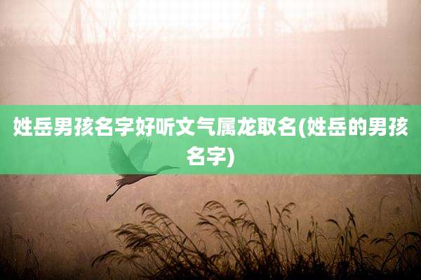 姓岳男孩名字好听文气属龙取名(姓岳的男孩名字)