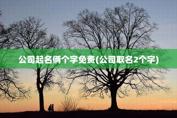 公司起名俩个字免费(公司取名2个字)