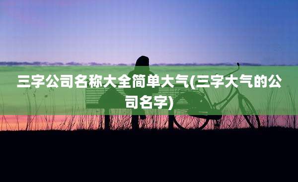 三字公司名称大全简单大气(三字大气的公司名字)