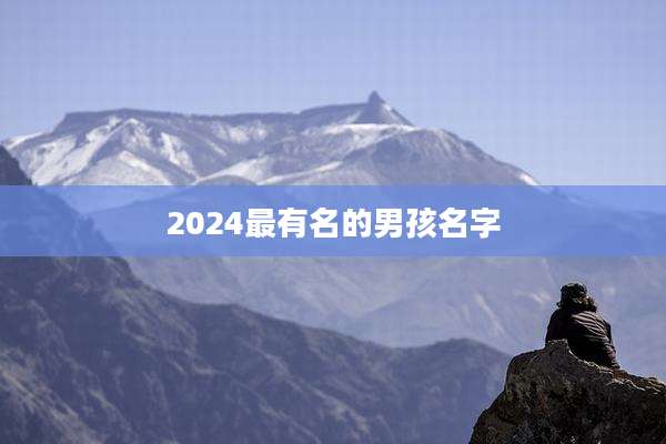 2024最有名的男孩名字