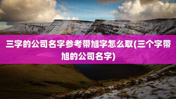三字的公司名字参考带旭字怎么取(三个字带旭的公司名字)