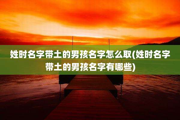 姓时名字带土的男孩名字怎么取(姓时名字带土的男孩名字有哪些)