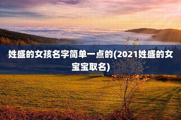 姓盛的女孩名字简单一点的(2021姓盛的女宝宝取名)