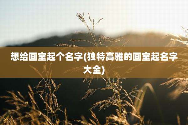 想给画室起个名字(独特高雅的画室起名字大全)