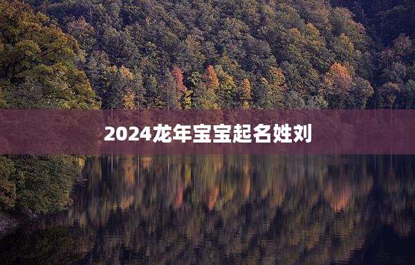 2024龙年宝宝起名姓刘