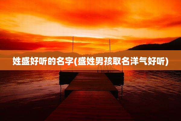 姓盛好听的名字(盛姓男孩取名洋气好听)