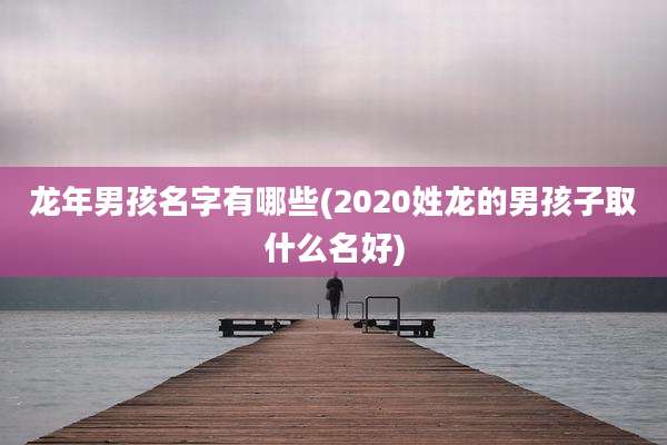 龙年男孩名字有哪些(2020姓龙的男孩子取什么名好)