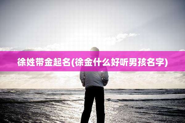 徐姓带金起名(徐金什么好听男孩名字)