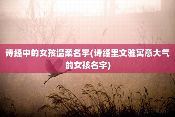 诗经中的女孩温柔名字(诗经里文雅寓意大气的女孩名字)