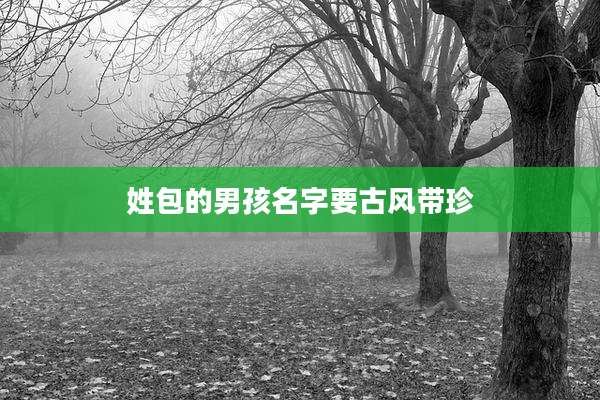 姓包的男孩名字要古风带珍