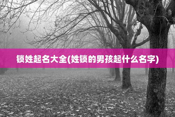 锁姓起名大全(姓锁的男孩起什么名字)