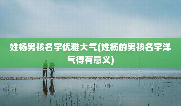 姓杨男孩名字优雅大气(姓杨的男孩名字洋气得有意义)