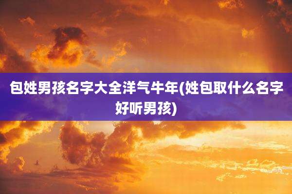 包姓男孩名字大全洋气牛年(姓包取什么名字好听男孩)