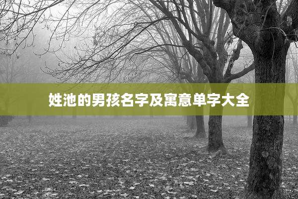 姓池的男孩名字及寓意单字大全