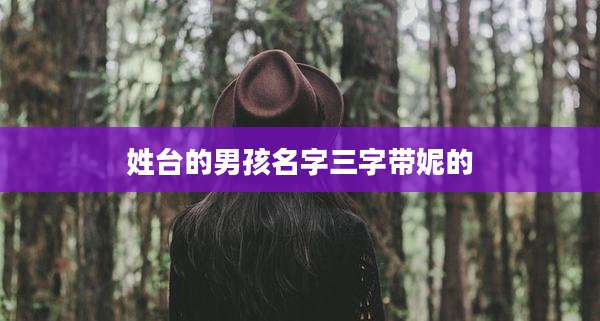 姓台的男孩名字三字带妮的