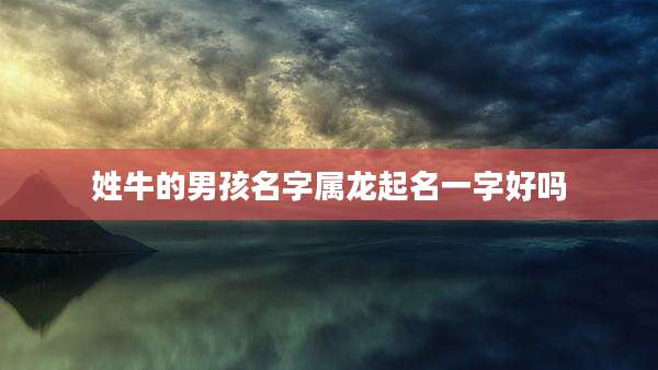 姓牛的男孩名字属龙起名一字好吗