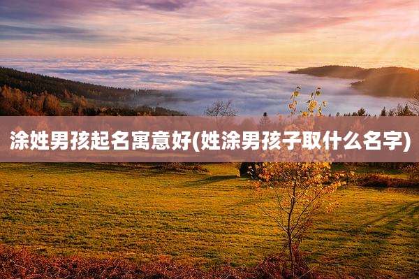 涂姓男孩起名寓意好(姓涂男孩子取什么名字)