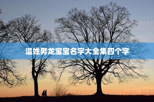 温姓男龙宝宝名字大全集四个字