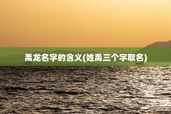 禹龙名字的含义(姓禹三个字取名)
