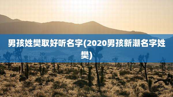 男孩姓樊取好听名字(2020男孩新潮名字姓樊)