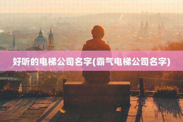 好听的电梯公司名字(霸气电梯公司名字)