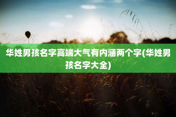 华姓男孩名字高端大气有内涵两个字(华姓男孩名字大全)