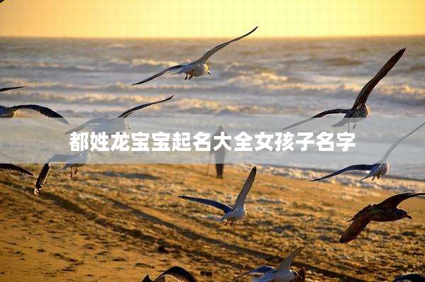 都姓龙宝宝起名大全女孩子名字