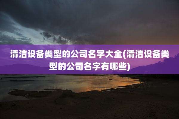 清洁设备类型的公司名字大全(清洁设备类型的公司名字有哪些)