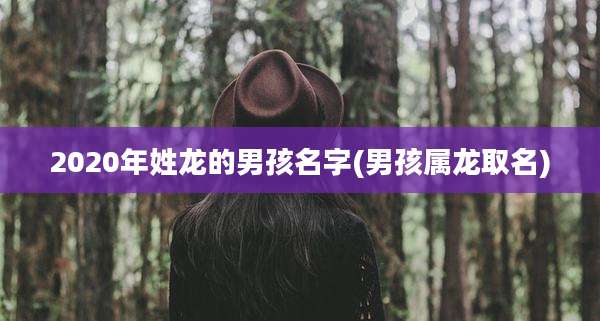 2020年姓龙的男孩名字(男孩属龙取名)