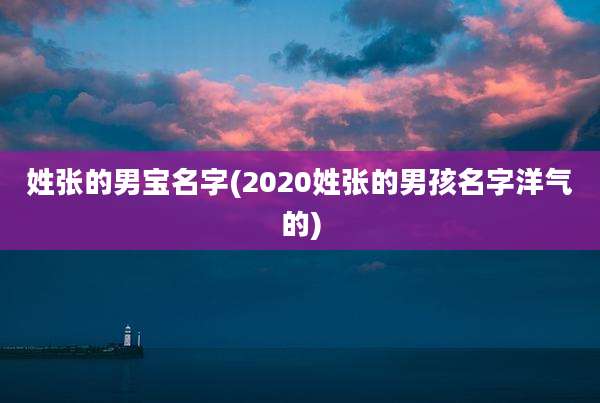 姓张的男宝名字(2020姓张的男孩名字洋气的)
