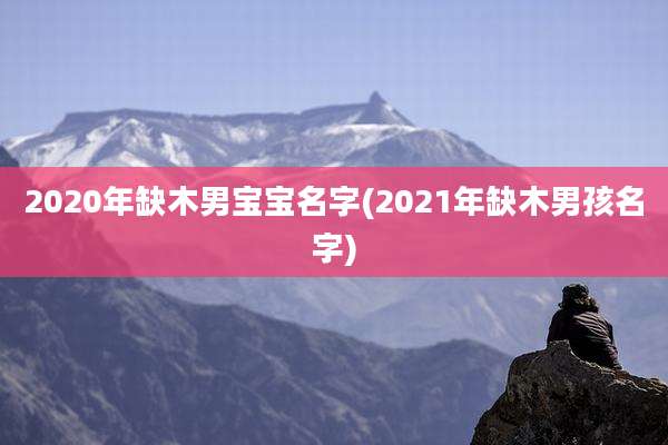 2020年缺木男宝宝名字(2021年缺木男孩名字)