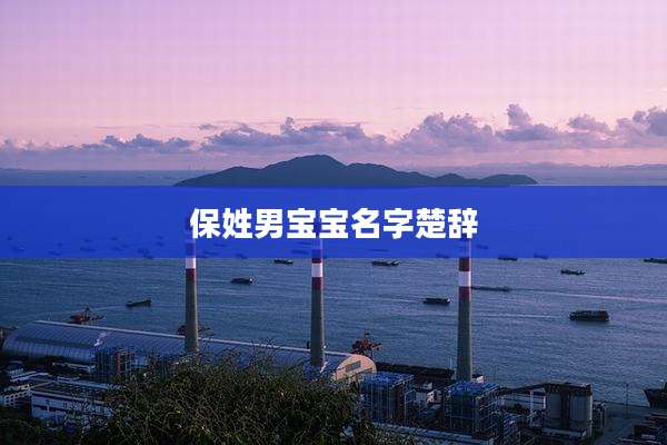 保姓男宝宝名字楚辞